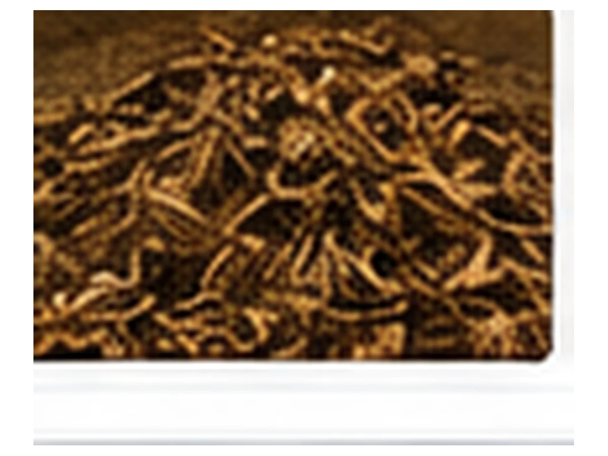 Tobacco Conveyor Belt — surface texture close up